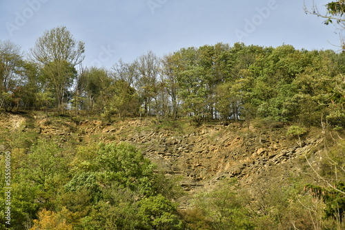 Pans rocheux verticaux émergeant de la végétation luxuriante et sauvage dominant la vallée de l'Amblève à Aywaille 