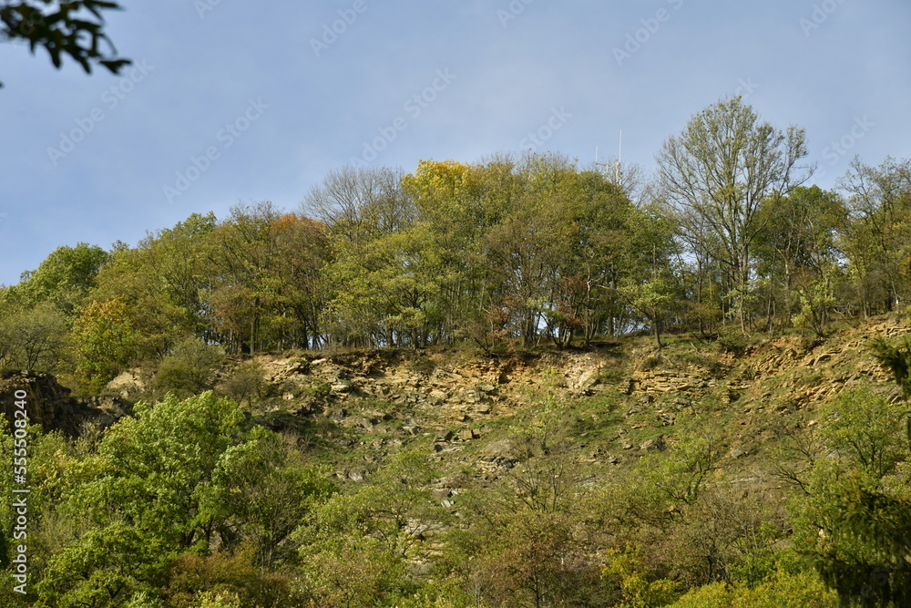 Pans rocheux verticaux émergeant de la végétation luxuriante et sauvage dominant la vallée de l'Amblève à Aywaille Pans rocheux verticaux émergeant de la végétation luxuriante et sauvage dominant la vallée de l'Amblève à Aywaille
