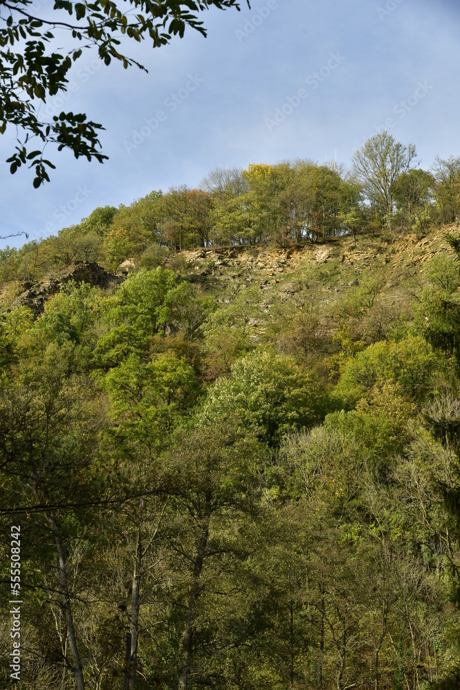 Pans rocheux verticaux émergeant de la végétation luxuriante et sauvage dominant la vallée de l'Amblève à Aywaille 