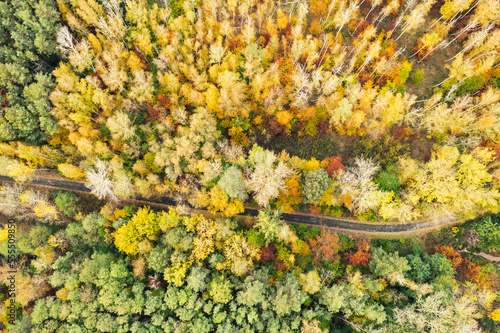 Autumn forest from above