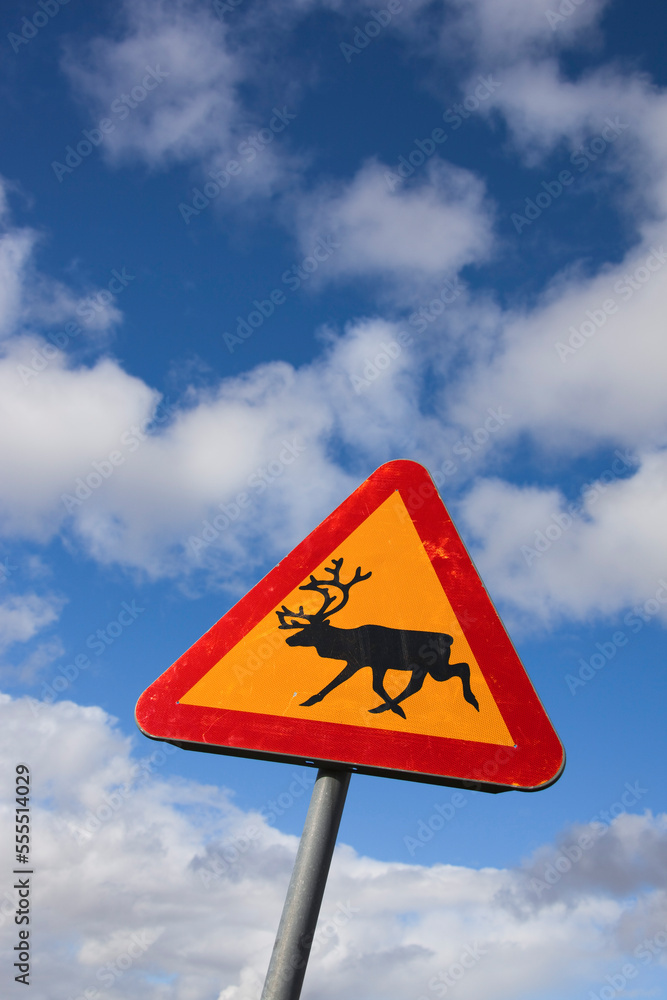 Warning Sign for Reindeer Crossing, Sweden Warning Sign for Reindeer Crossing, Sweden