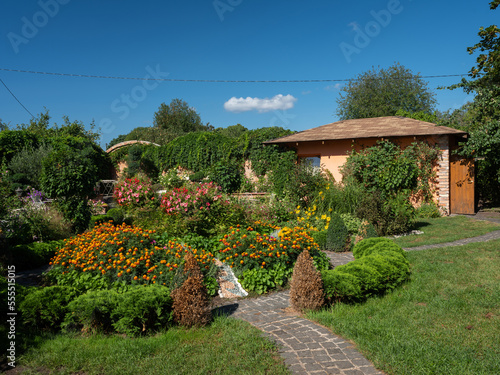 Beautiful summer garden at sunny day. Green lawn. Flowers, plants, bushes.
