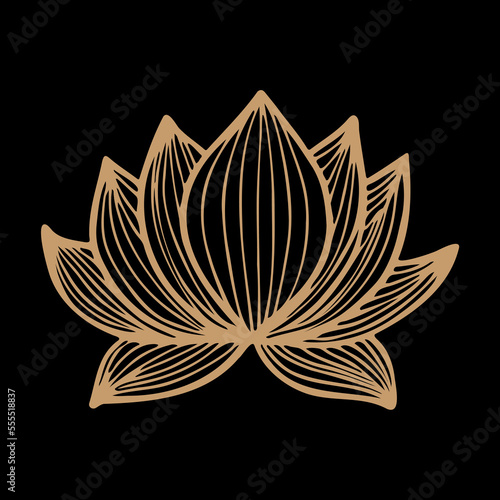 black and white lotus