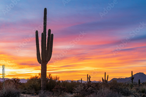 Colorful Sunrise Skies In North Scottsdale Desert Preserve