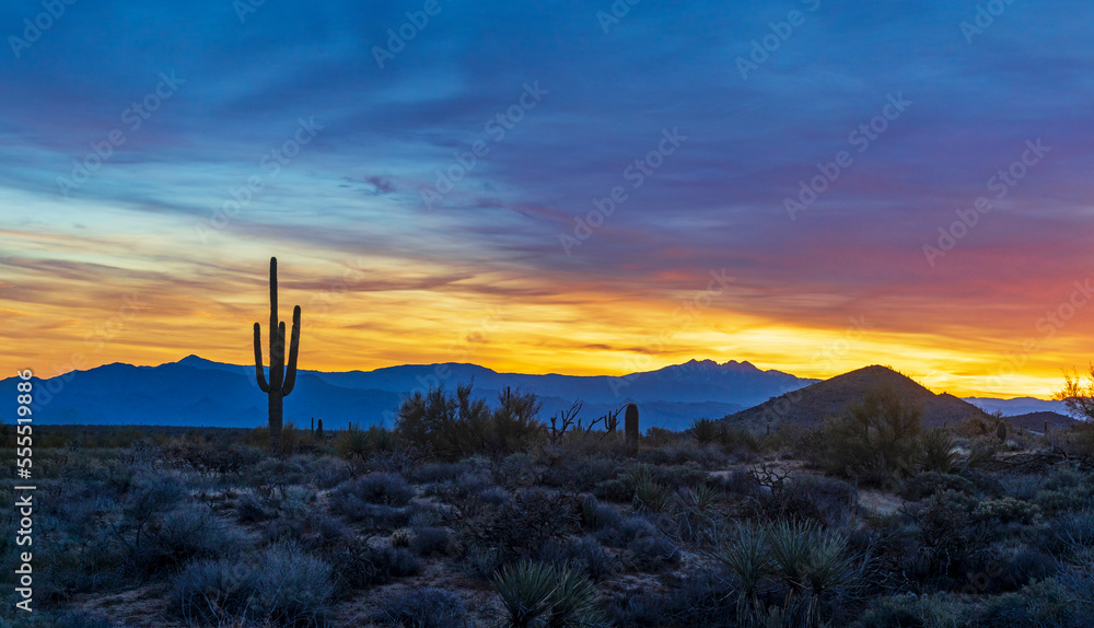 Obraz premium Wide Ratio Arizona Sunrise Desert Landscape Near Scottsdale