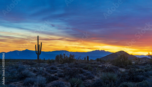 Wide Ratio Arizona Sunrise Desert Landscape Near Scottsdale