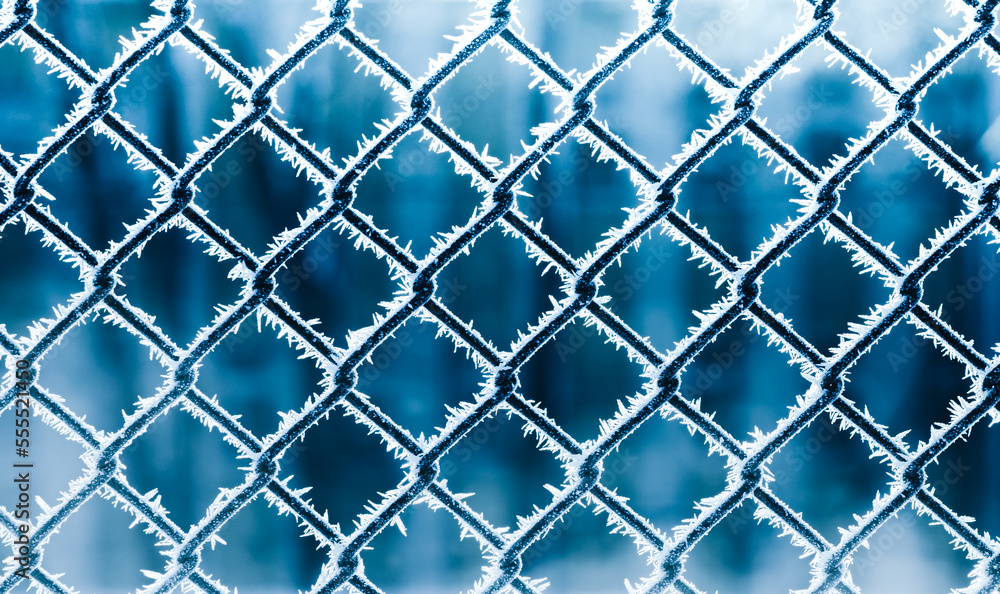 Fototapeta premium frost on the fence mesh