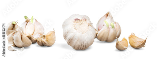 Garlics isolated on white background photo