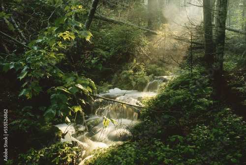 Waterfall, Shamper's Bluff, New Brunswick, Canada photo