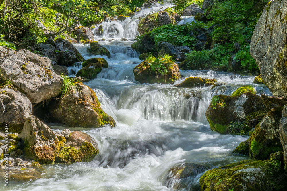 Stream in the Grosswalsertal, Marultal, at Laguzbach, State of Vorarlberg, Austria Stream in the Grosswalsertal, Marultal, at Laguzbach, State of Vorarlberg, Austria