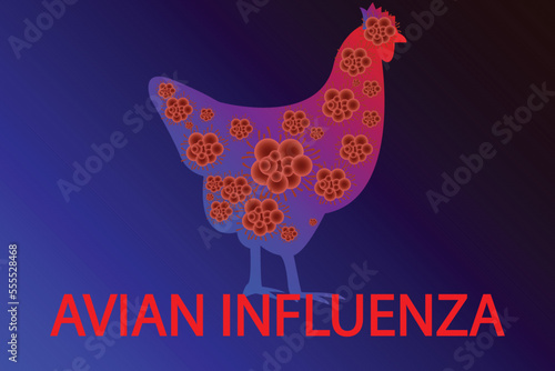 Avian influenza vector illustration. Bird flu virus illustration. H5N1 and H3N8 bird flu epidemic disease. pandemic danger. Viruses from animals to people	