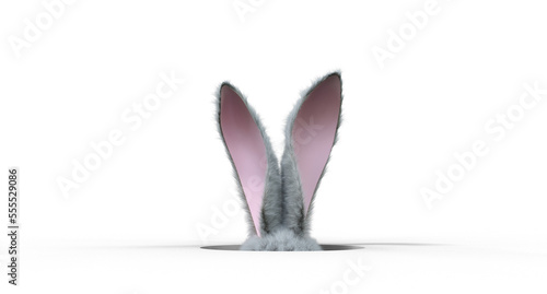oreilles de lapin qui sortent d'un trou - rendu 3D photo