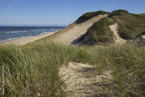 Sand Dunes, Marconi Beach, Cape Cod National Seashore, Wellfleet, Cape Cod, Massachusetts, USA photo