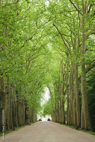 Walkway, Chateau de Chenonceau, Chenonceaux, Indre-et-Loire, Loire Valley, France