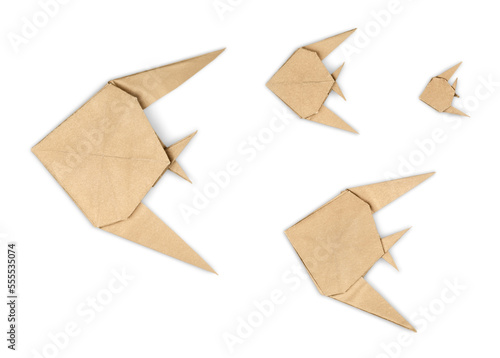 Canvas Print Beautiful colored fish origami from the paper
