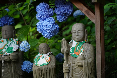 紫陽花, あじさい, アジサイ, 青い紫陽花, 青, 明月院, meigetsuin, 鎌倉, 神奈川, お寺, 神社, 明月院ブルー, 窓, 借景, 丸窓, あやめ, 日本, 家, お地蔵さん, 仏像, 可愛い, 仏像と紫陽花, 井戸, 花, うさぎ, 庭, 6月, 梅雨, かまくら, 観光, 名物, 旅行, おでかけ, 人気, 石庭, 石, 日本庭園, 庭園, 公園, 石の庭, カエル,  ま photo