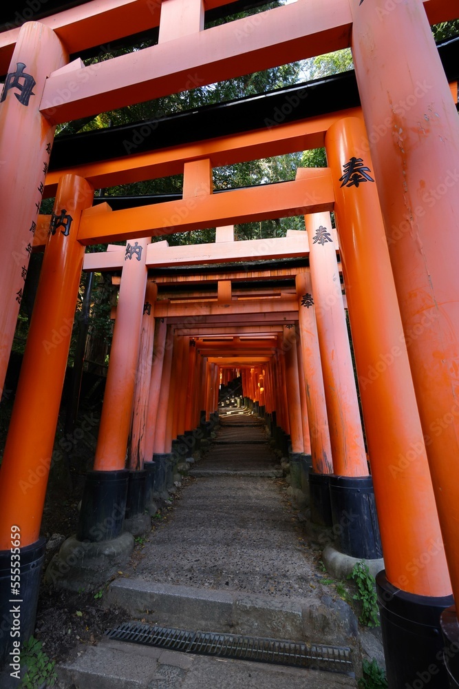 Thousand torii gates at Fushimi Inari Shrine, Kyoto Thousand torii gates at Fushimi Inari Shrine, Kyoto
