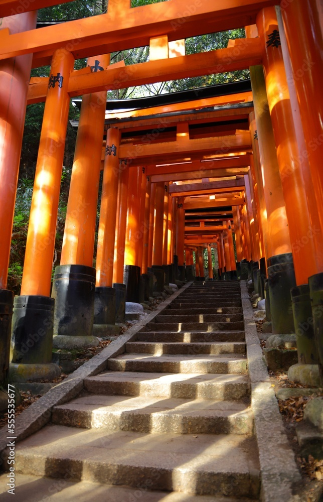 Thousand torii gates at Fushimi Inari Shrine, Kyoto Thousand torii gates at Fushimi Inari Shrine, Kyoto