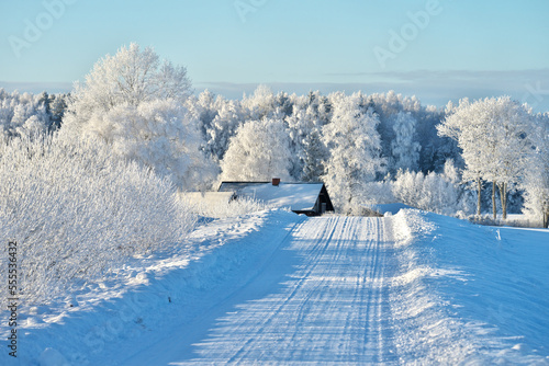 The trees are covered with white frost. Frosty sunny weather. Beautiful winter landscape.