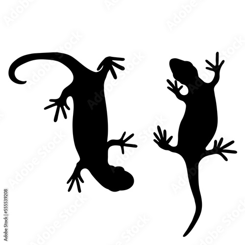 Set of lizards reptile gecko black silhouette vector illustration. Simple black silhouette illustration isolated on white background. Template for books, stickers, posters, cards, clothes.