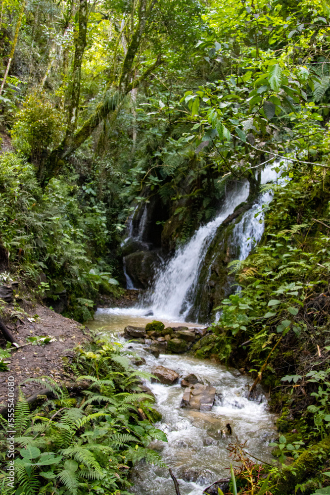 CARATATA DE ASHPACHACA LEVANTO CHACHAPOYAS