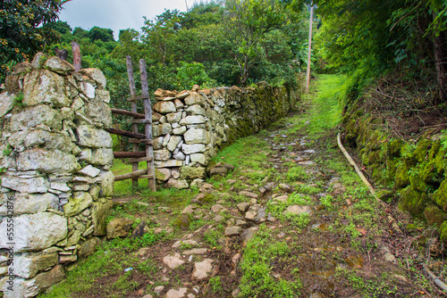 Camino Empedrado y pared de piedra
