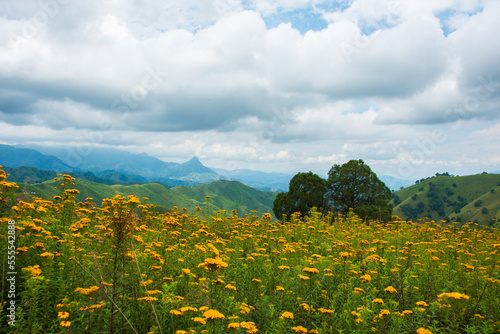 Disfrutando de los Hermosos paisajes naturales de las montañas en la Sierra Madre del Sur, México