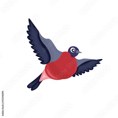 Cute bullfinch bird on white background