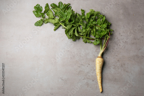 Fresh ripe parsnip on grey table, top view. Space for text photo