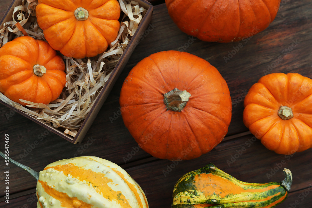 Crate and many different pumpkins on wooden table, flat lay Crate and many different pumpkins on wooden table, flat lay