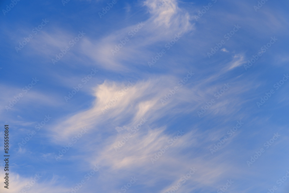 青空に高く浮かぶ綿のような雲