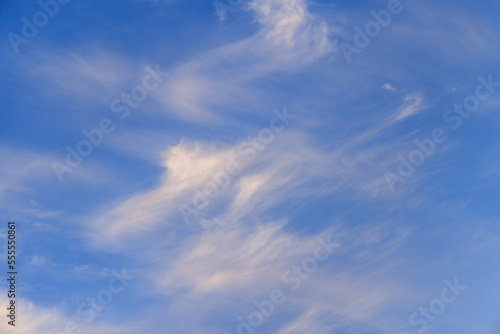 青空に高く浮かぶ綿のような雲