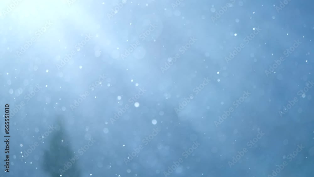 降雪(スローモーション) 降雪(スローモーション)