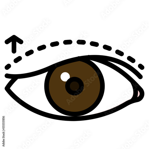 eyelid line icon