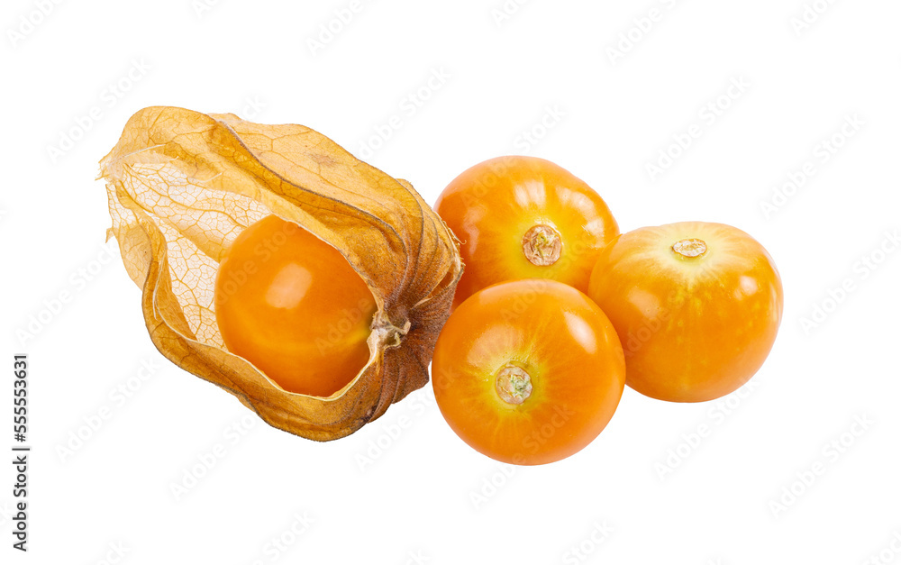 Cape Gooseberry isolated on transparent png