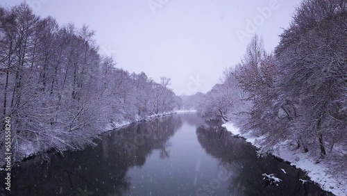 Gentle snowfall on Pilica river snow covered Polish woodland nature reserve winter scene photo