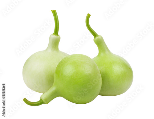 calabash isolated on transparent png