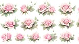 Set Watercolor flowers, Hand painted floral illustration, Watercolor pink anemones, roses, dahlias.