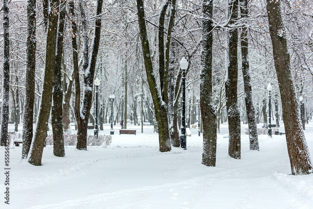 snowy city park in winter during snowfall. snow-covered frozen trees, benches and lanterns.