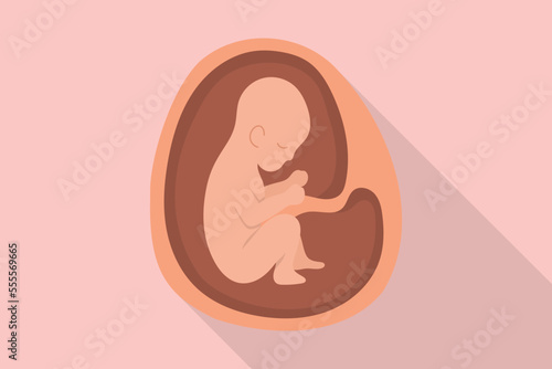 baby womb embrio for pregnant or pregnancy with modern flat style and long shadow