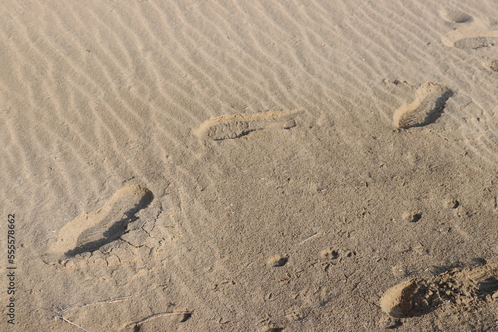Obraz premium footprint in sand