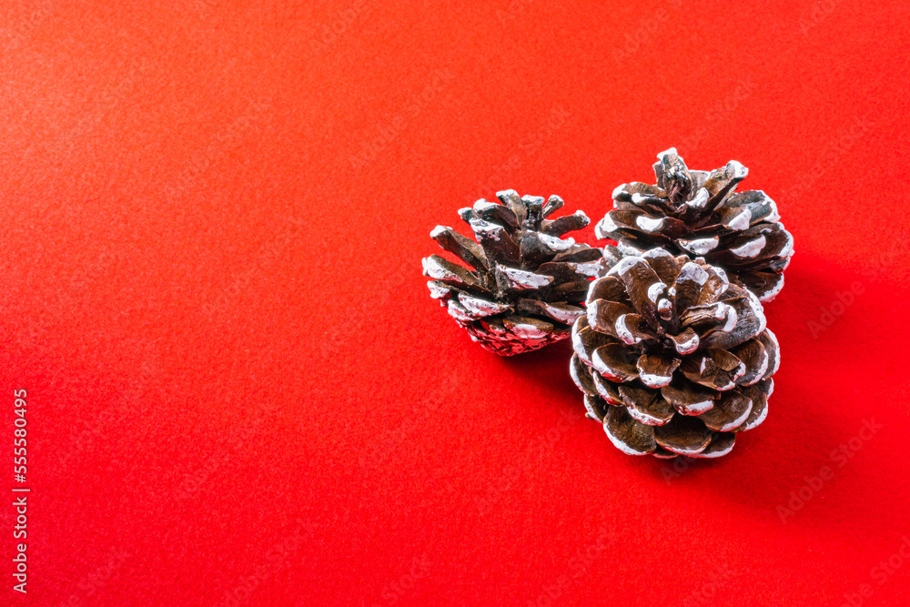 【冬】赤色の布の上の松ぼっくり
