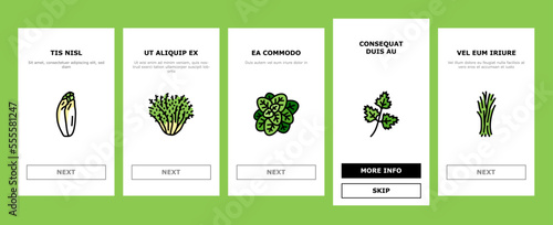 salad food healthy green fresh onboarding mobile vector. vegetable bowl, meal lunch, dish dinner, lettuce tomato, plate vegetarian, diet salad food healthy green fresh Illustration