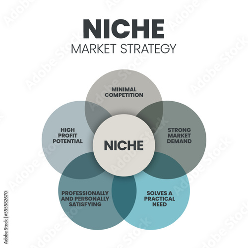 Niche Market Strategy infographic presentation template with icons such as competition, market demand, practical need, high profit potential, professionally and personally satisfying. Business Vector.