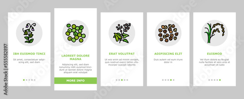 cereal plant healthy food onboarding mobile vector. breakfast bowl, milk corn, wheat grain, snack morning, organic meal, sweet cereal plant healthy food Illustration