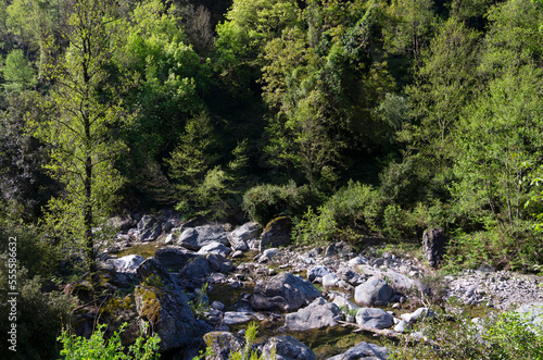 Bucatoggio stream in Corsica mountain.. San-Giovanni-di-Moriani village