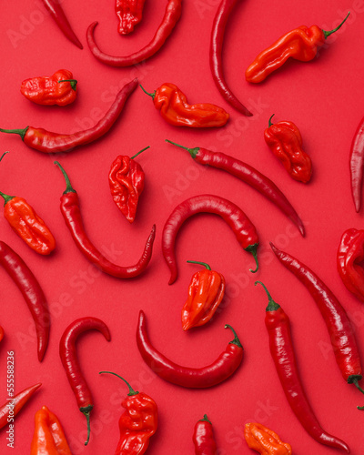 Red hot peppers on red background. Chili  cayenne and habanero. Vegetarian food. Vegetables. Bright spices. Sauce ingredient. Photo for advertising. Mexican cuisine. Spicy food. View from above.