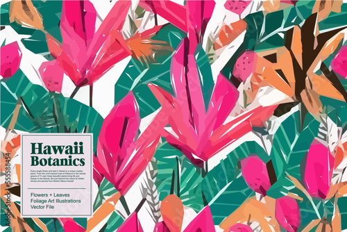 Tropical flowers, jungle leaves. Beautiful vector floral pattern background.