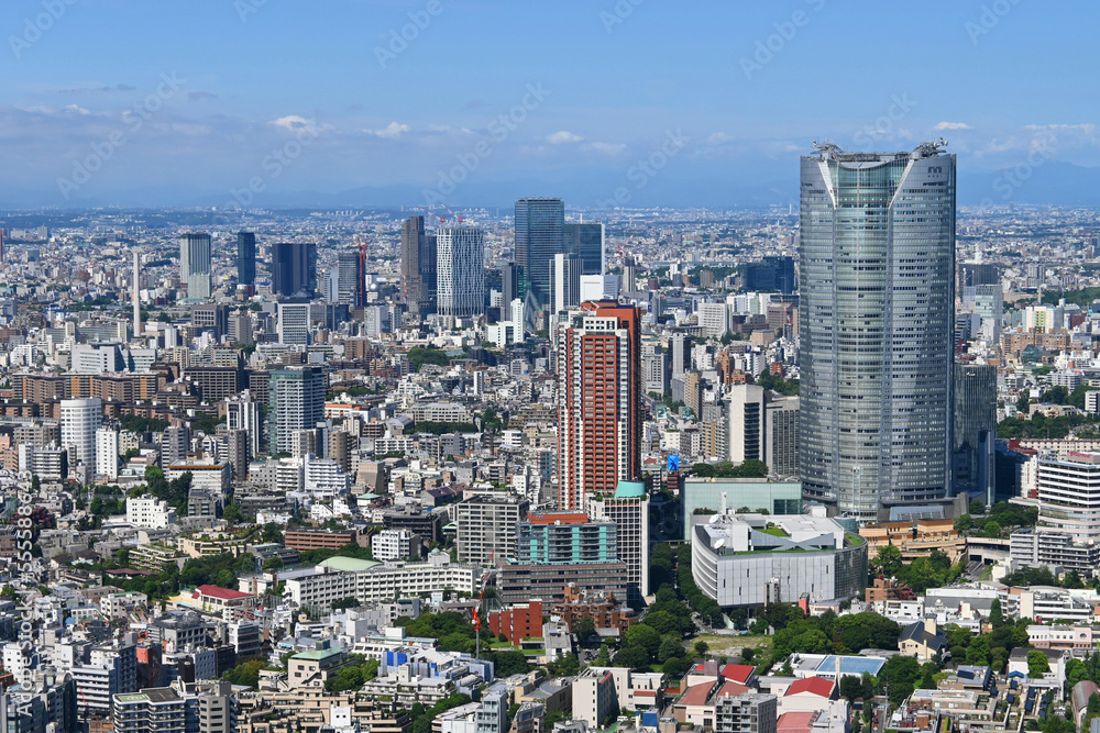 夏の朝に東京タワーから渋谷方面を望む