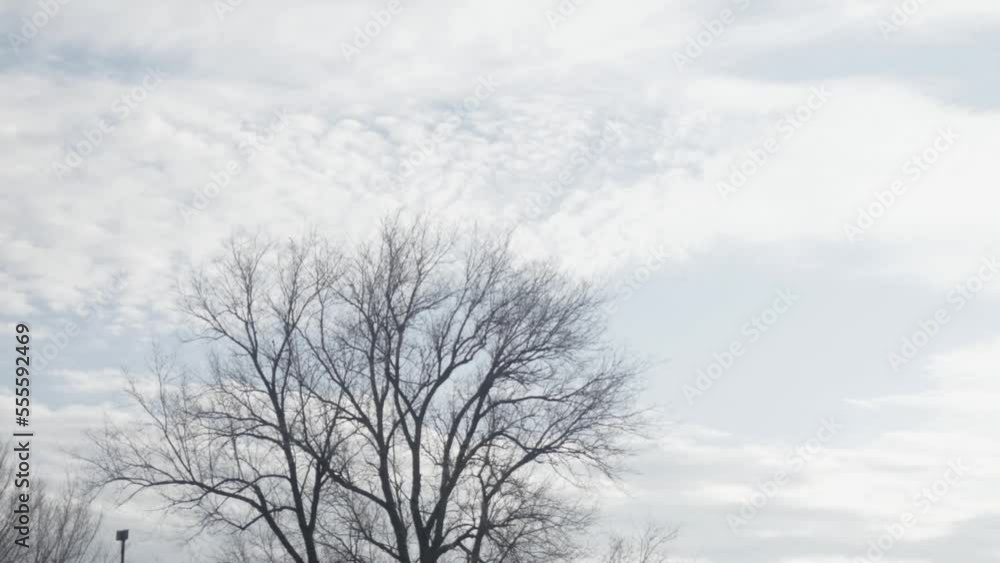 time lapse of fast moving gloomy clouds over a tree